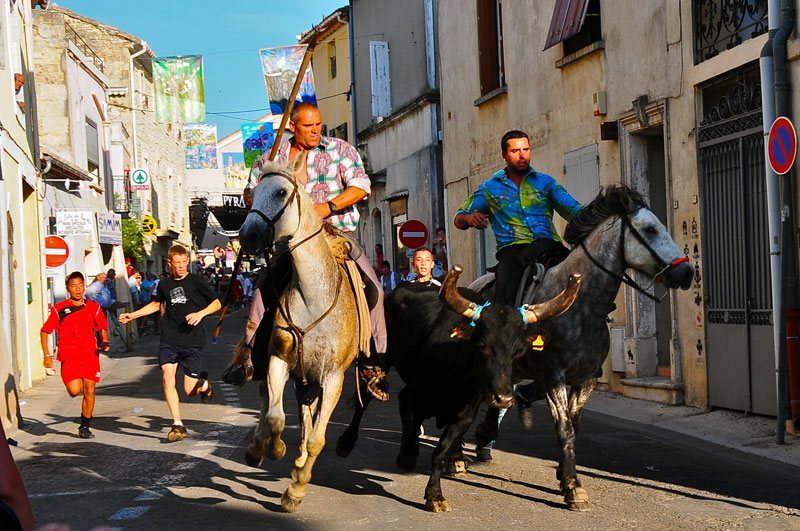 Western Russia